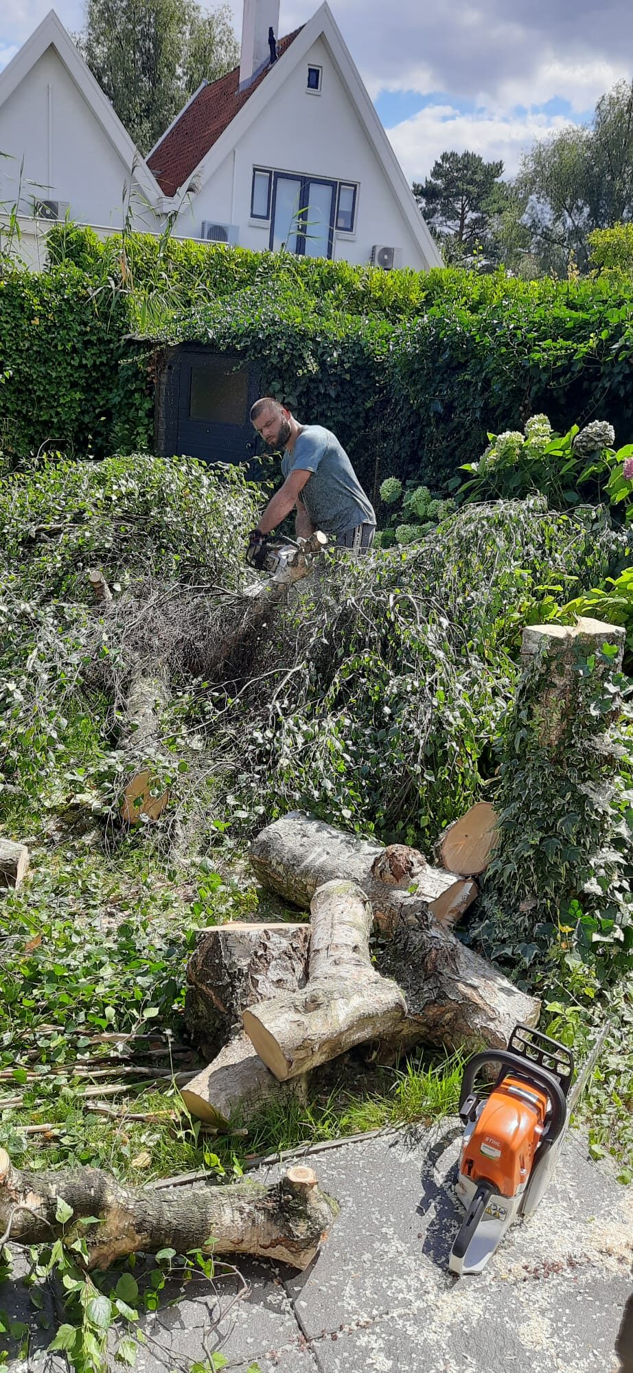 Gevelde boom in stukken gezaagd en opgeruimd – Tuinwerk Denys