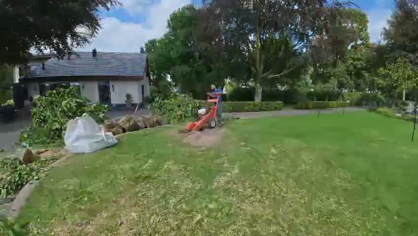 Boomverwijdering · Tuinwerk Denys, Den Bosch