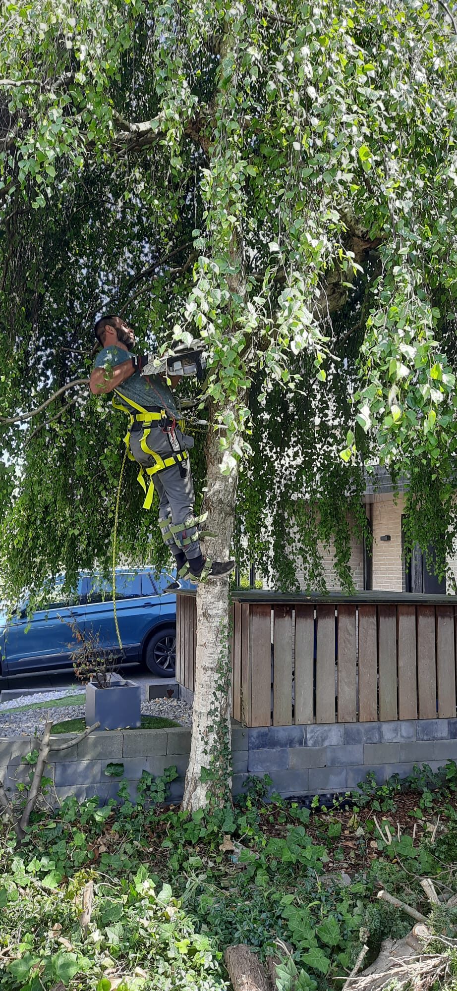 Denys aan het klimwerk in een boom – Tuinwerk Denys