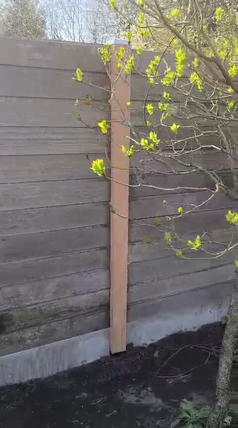 Denys aan het werk