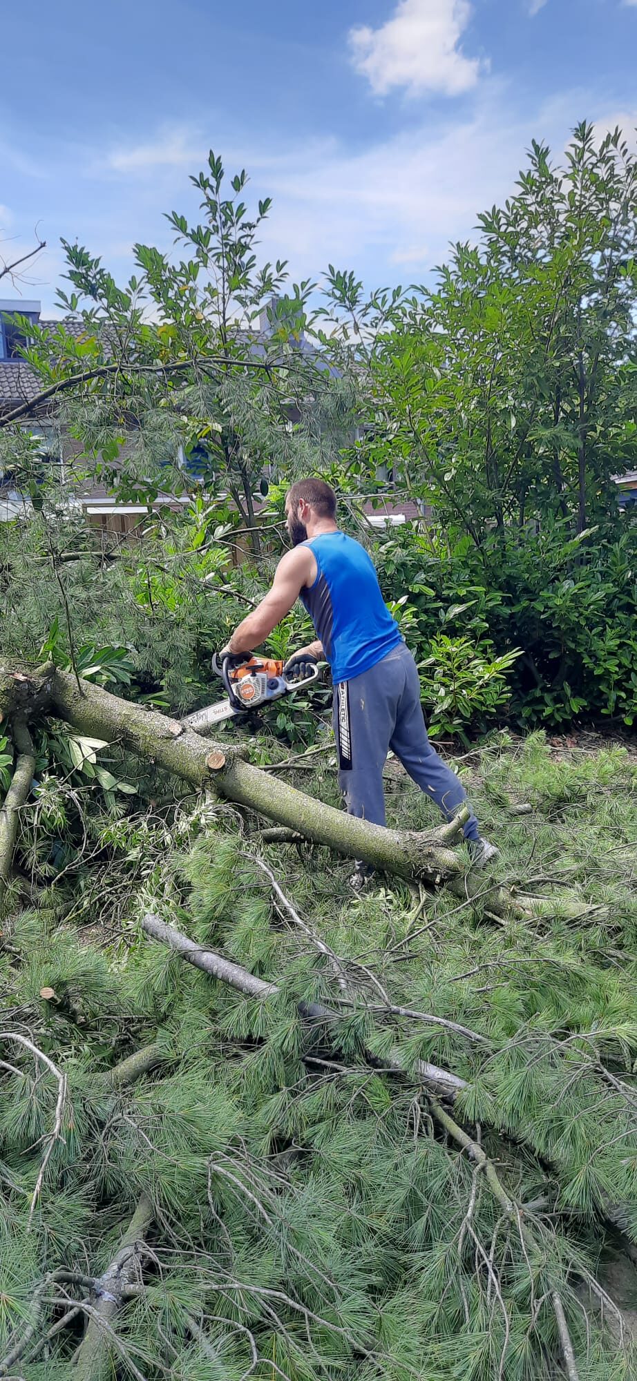 Dikke tak doorzagen met de kettingzaag – Tuinwerk Denys