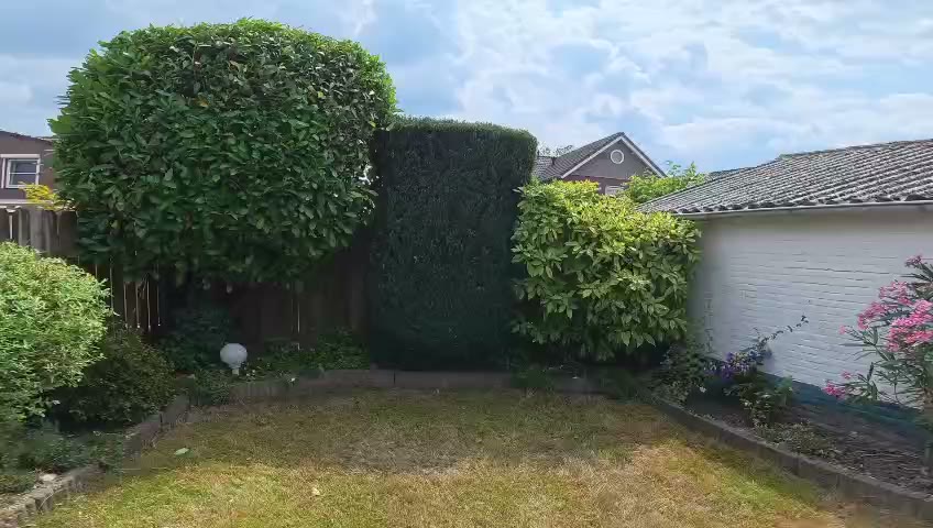 Hagen snoeien · Tuinwerk Denys, Den Bosch