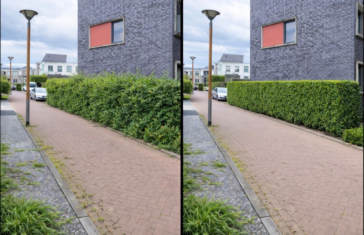 Haag langs de stoep strak gesnoeid, voor en na – Tuinwerk Denys