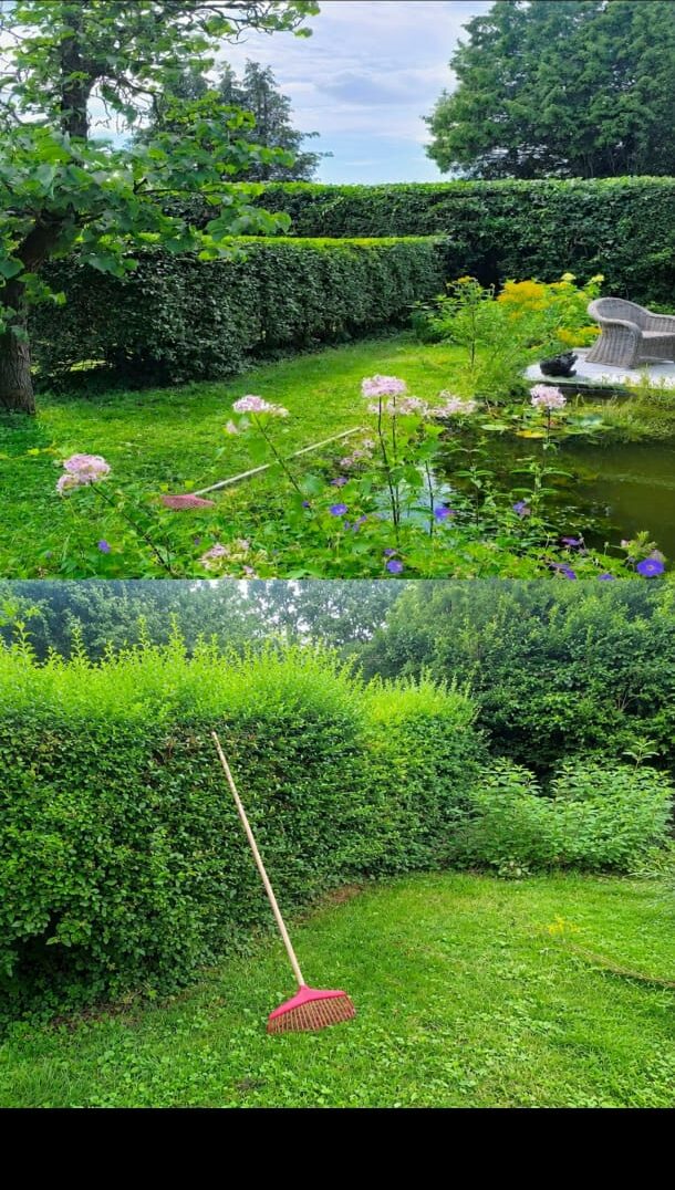 Haag gesnoeid – voor en na, Tuinwerk Denys