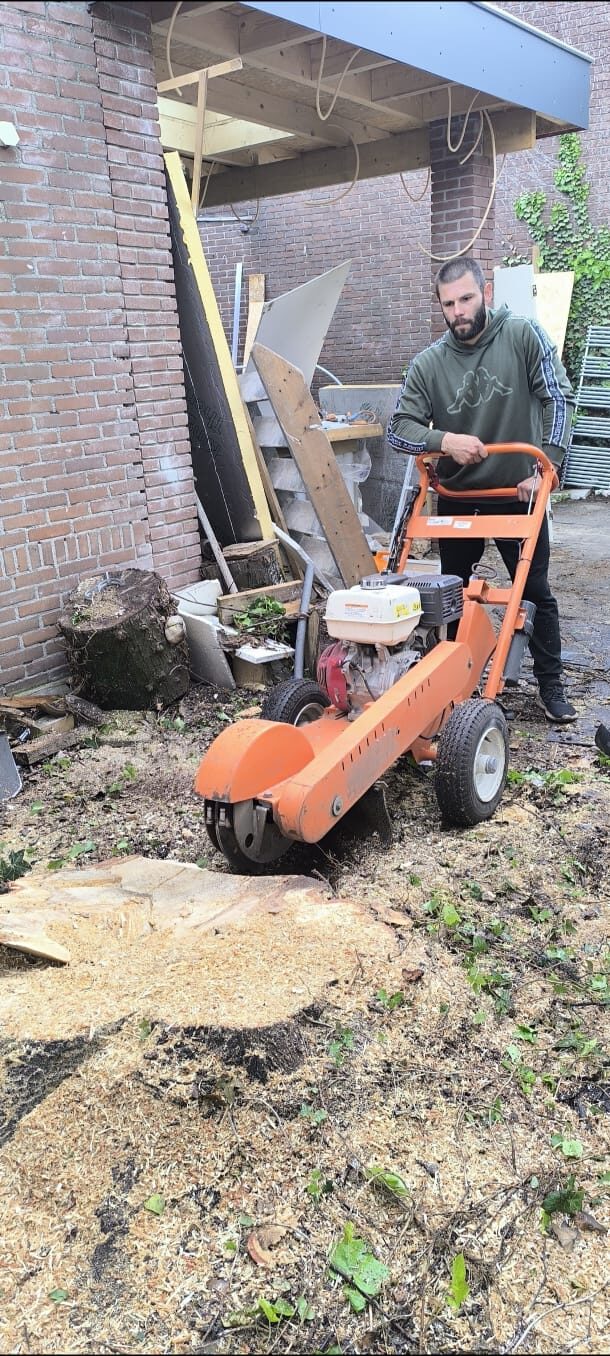 Boomstronk frezen met de stronkenfrees – Tuinwerk Denys