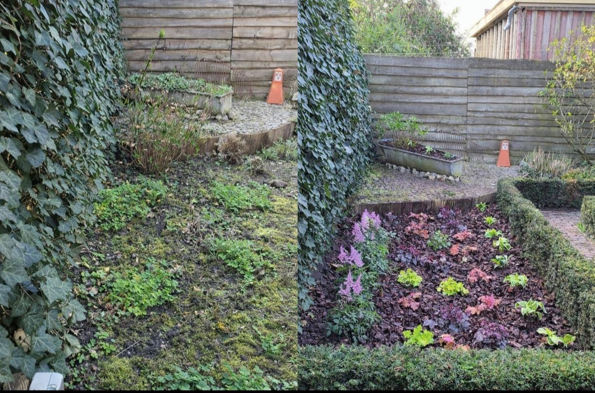 Overwoekerde border opgeruimd en opnieuw beplant, voor en na – Tuinwerk Denys
